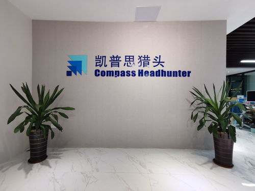 廣東凱普思企業管理咨詢 賦能企業，驅動卓越成長